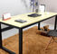 फैशन डिजाइन सरल स्टील कार्यालय फर्नीचर कस्टम बहु रंग डेस्क